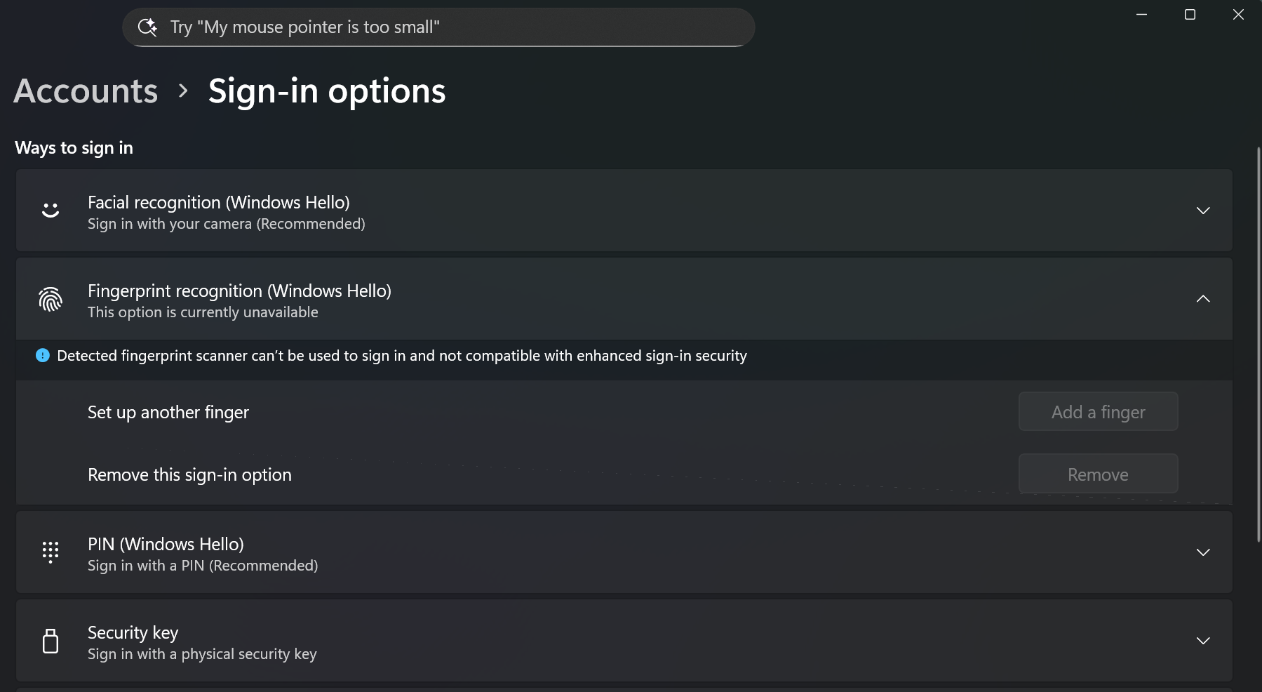 Windows settings showing that "Fingerprint recognition" is not available for my machine.